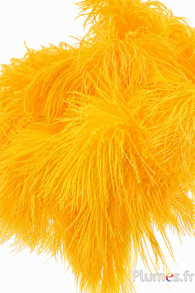 Struisvogel - 30-40 cm - curry